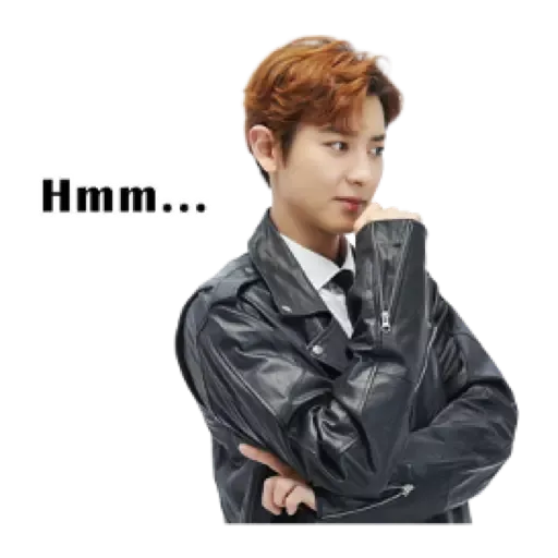 Exo - Sticker 26