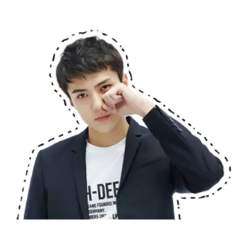 Exo - Sticker 12