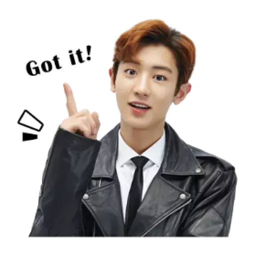 Exo - Sticker 29