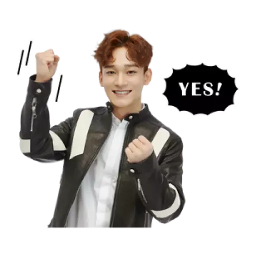 Exo - Sticker 27