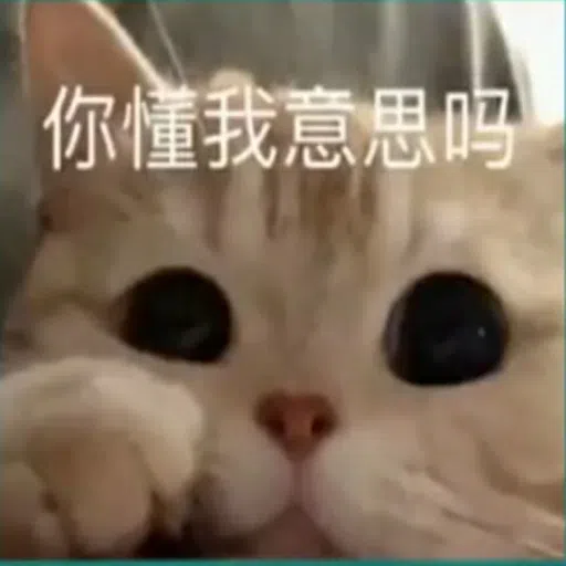 Cat - Sticker 12