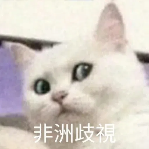 Cat - Sticker 9