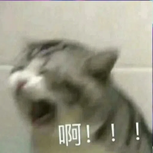 Cat - Sticker 10
