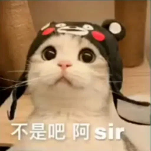 Cat - Sticker 11