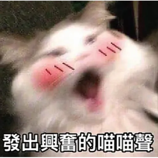 沙雕 - Sticker 16