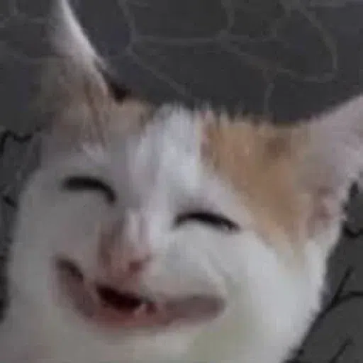 Cat1 - Sticker 25