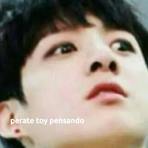 JUNGKOOK MEMES - Sticker 9
