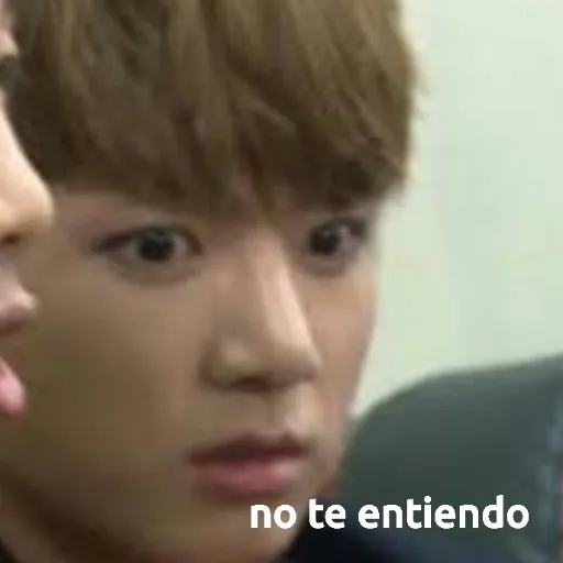 JUNGKOOK MEMES - Sticker 12