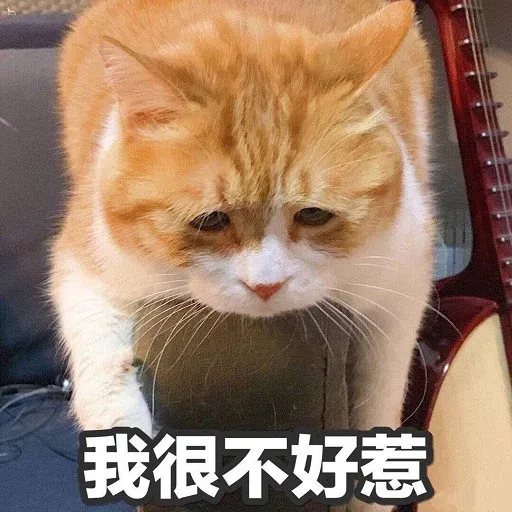 catttttt - Sticker 10