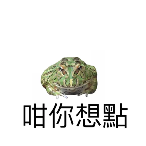 My frog and turtle - Sticker 9