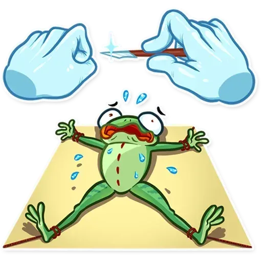 Banker Frog - Sticker 21