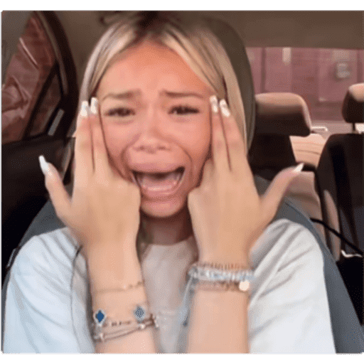 TikTok Stickers 2 - Sticker 26