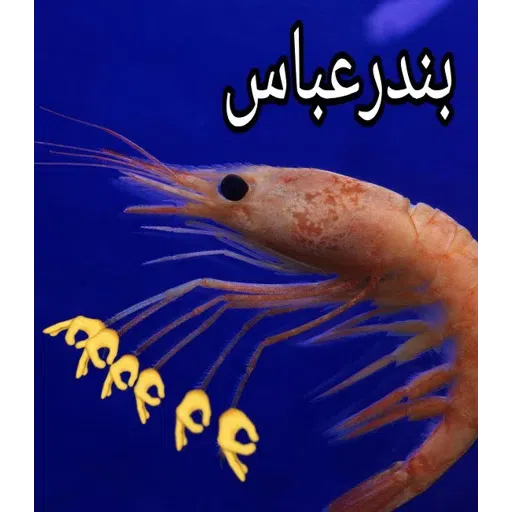 Karaj - Sticker 19