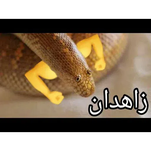 Karaj - Sticker 13