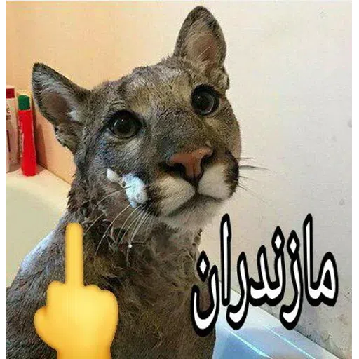 Karaj - Sticker 17
