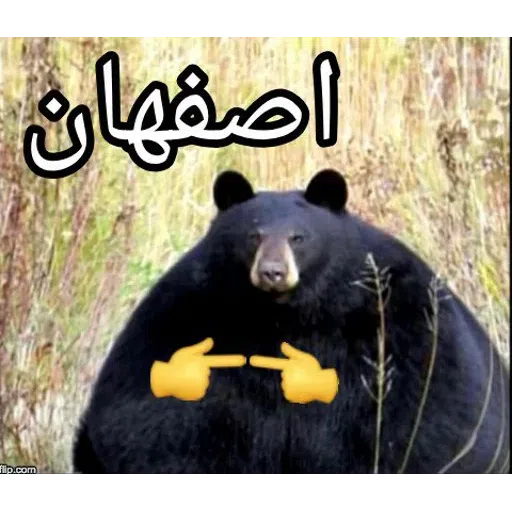Karaj - Sticker 26