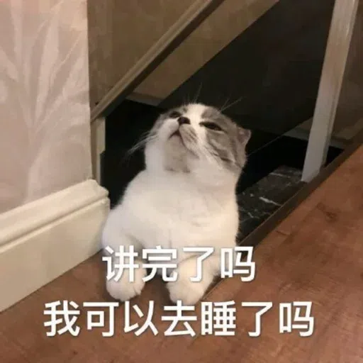 Cat memes - Sticker 23