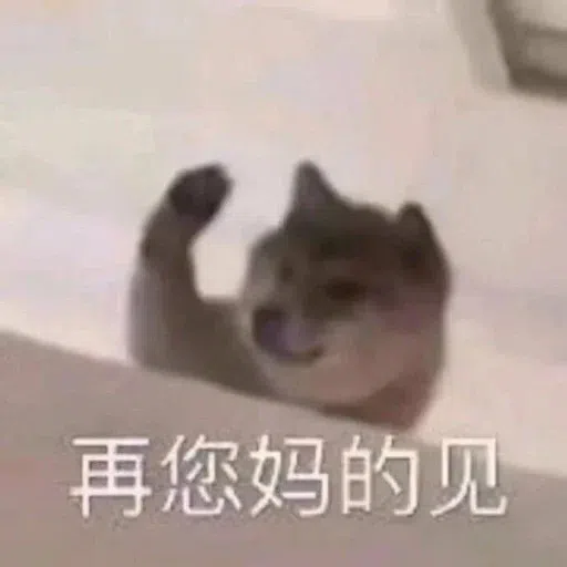Cat memes - Sticker 17