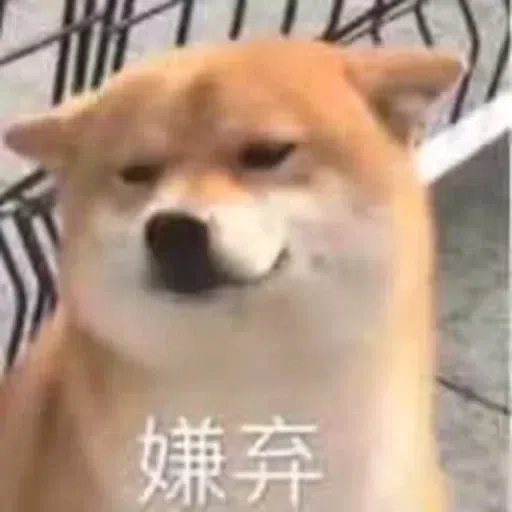 Cat memes - Sticker 10