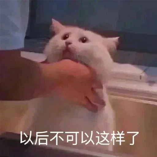 Cat memes - Sticker 16