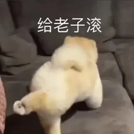Cat memes - Sticker 15