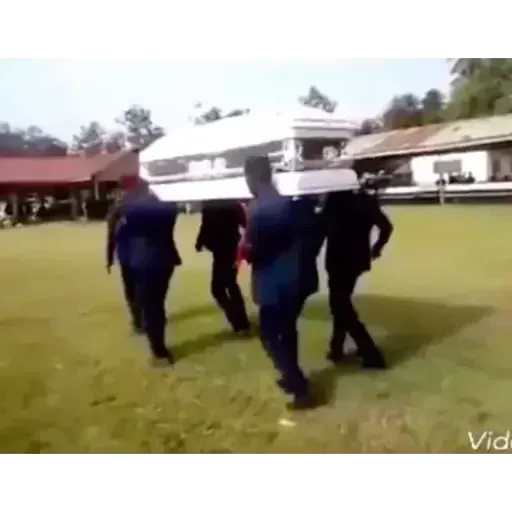 Coffin Dance Memes - Sticker 19