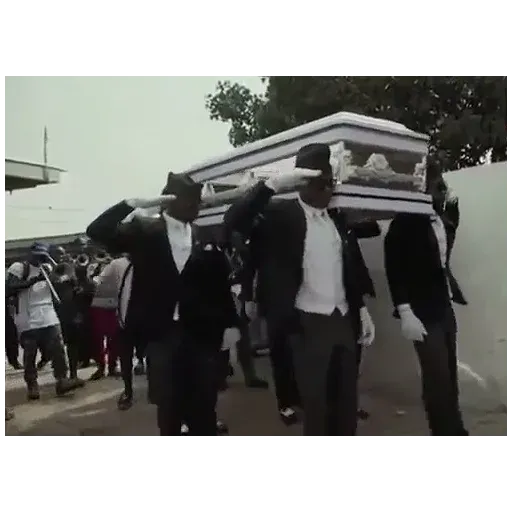Coffin Dance Memes - Sticker 12