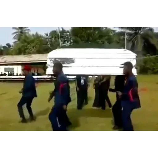 Coffin Dance Memes - Sticker 13