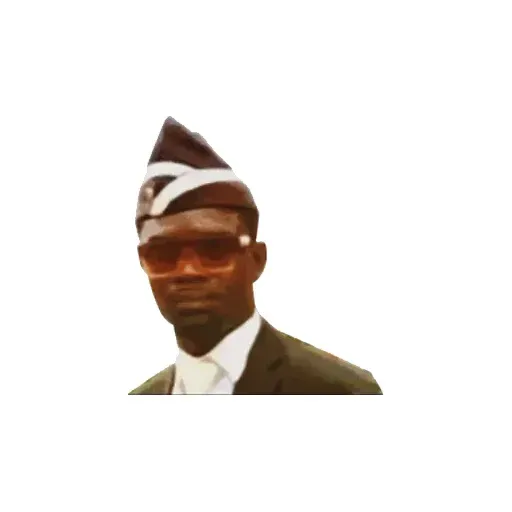 Coffin Dance Memes - Sticker 20