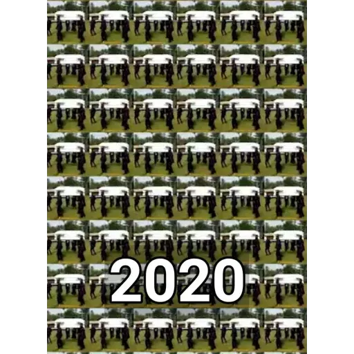 Coffin Dance Memes - Sticker 28
