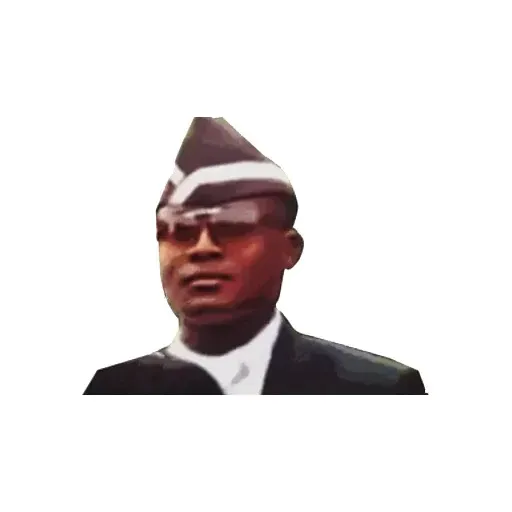 Coffin Dance Memes - Sticker 22