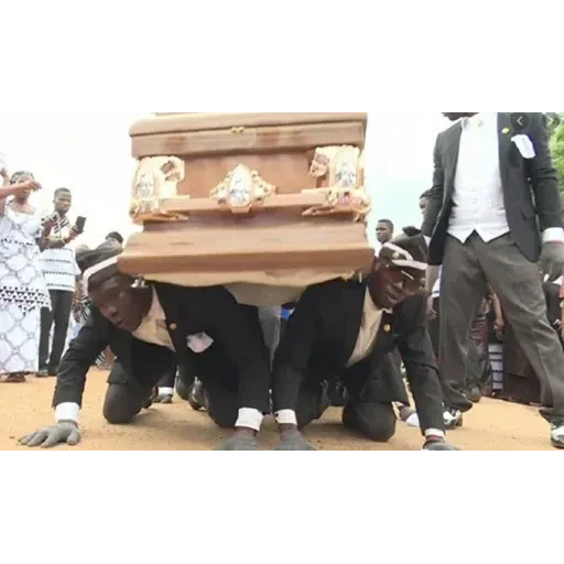 Coffin Dance Memes - Sticker 9