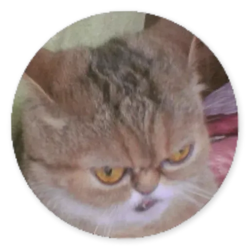 gatod - Sticker 14