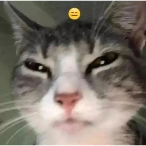 meme1 - Sticker 11