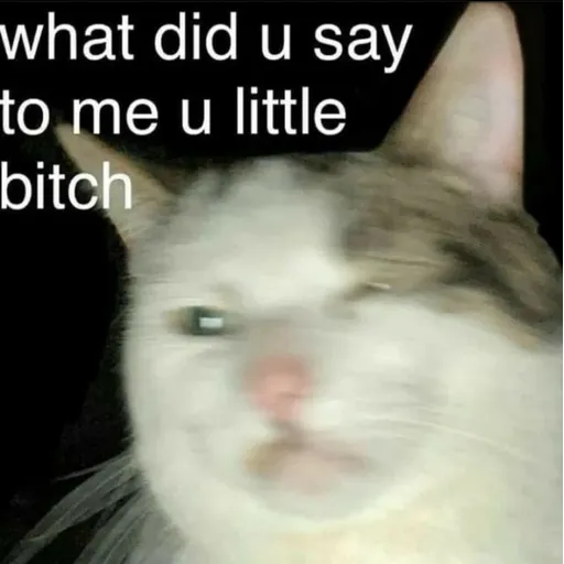 meme1 - Sticker 21