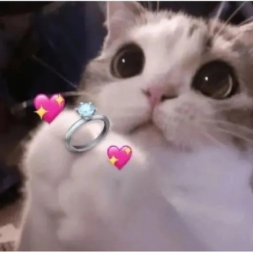 meme1 - Sticker 9