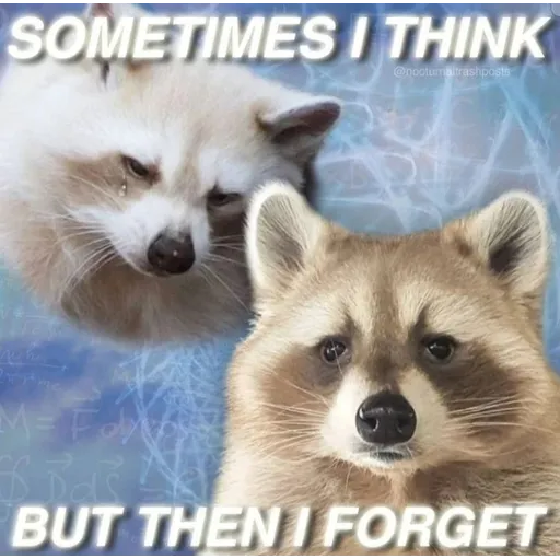 meme1 - Sticker 16