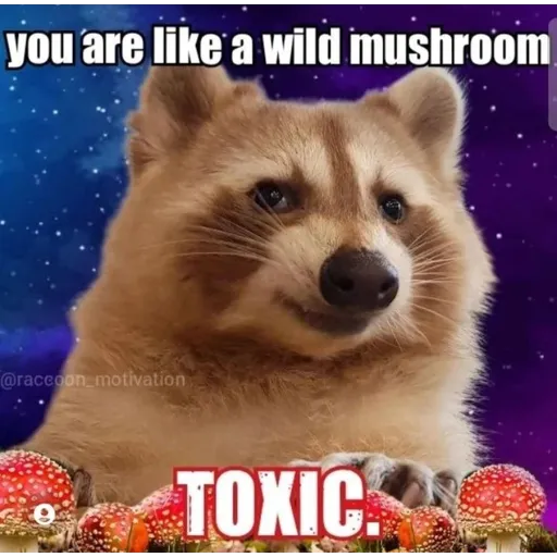meme1 - Sticker 14