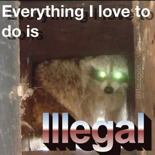 meme1 - Sticker 13