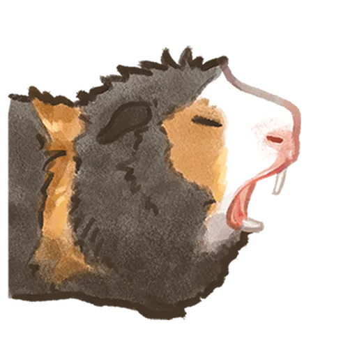 So many guinea pigs V2 - Sticker 10