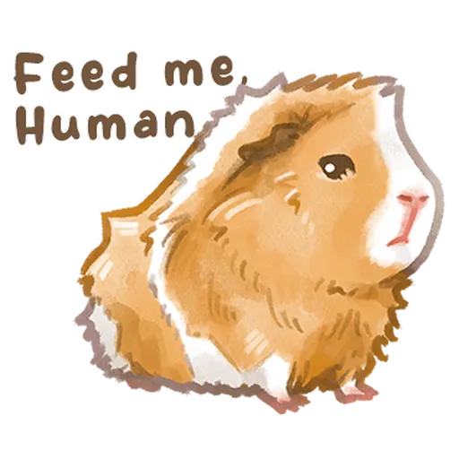 So many guinea pigs V2 - Sticker 15