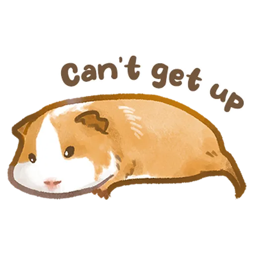 So many guinea pigs V2 - Sticker 29