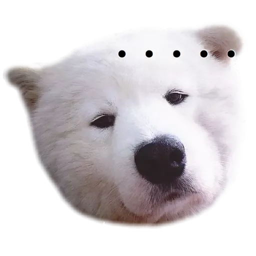 Bigtamhead  - Sticker 15