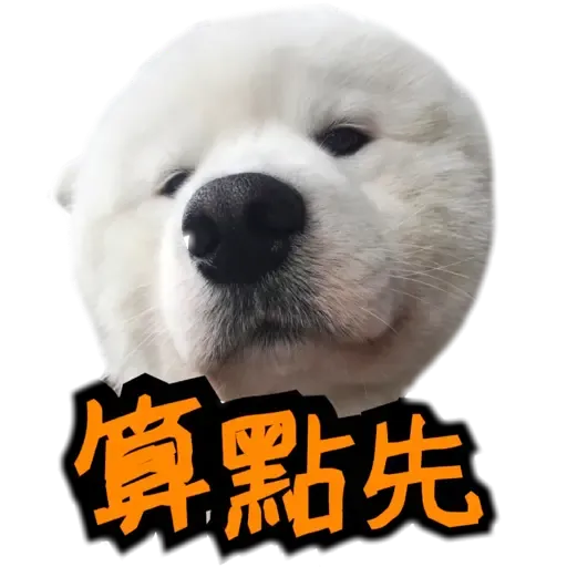 Bigtamhead  - Sticker 11