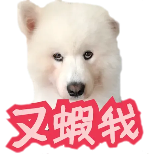 Bigtamhead  - Sticker 19