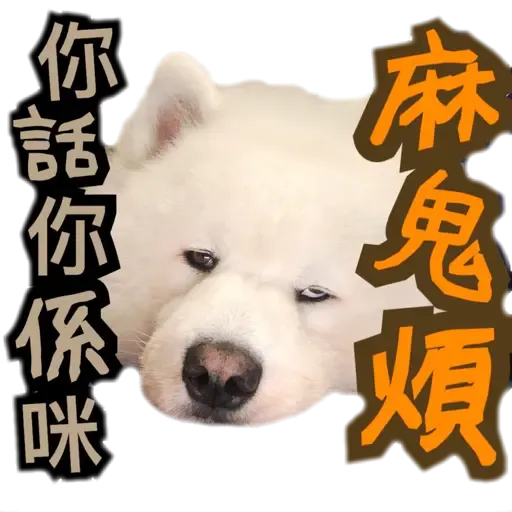 Bigtamhead  - Sticker 12