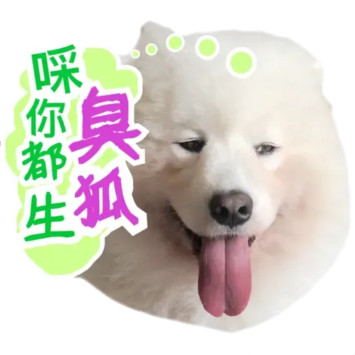 Bigtamhead  - Sticker 16