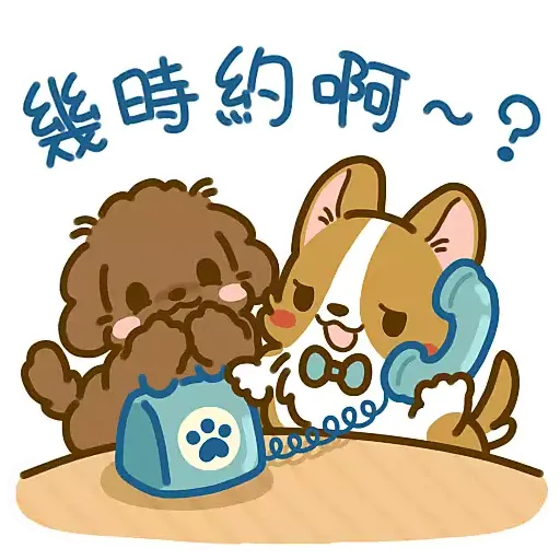 ʟᴀᴢʏ ᴄᴏʀɢɪ 中秋系列🌕 - Sticker 9