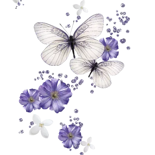 Rates - Sticker 28