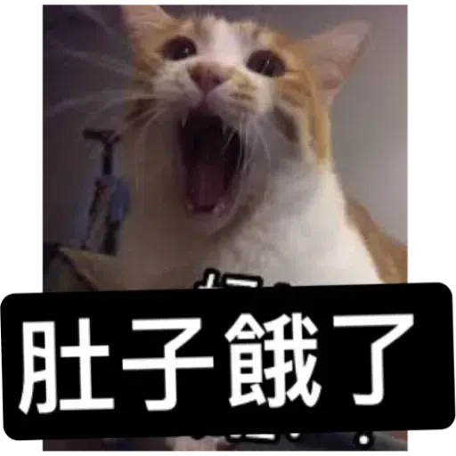 Cat3 - Sticker 11